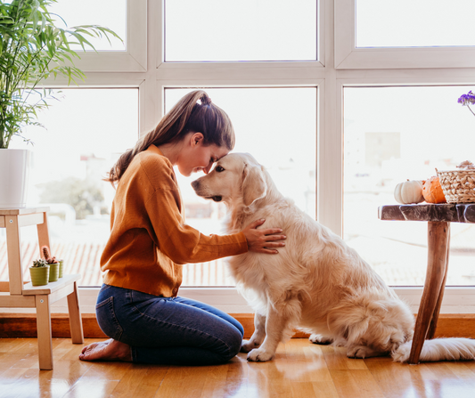 10 Signs Your Dog Loves You (and How to Strengthen Your Bond)
