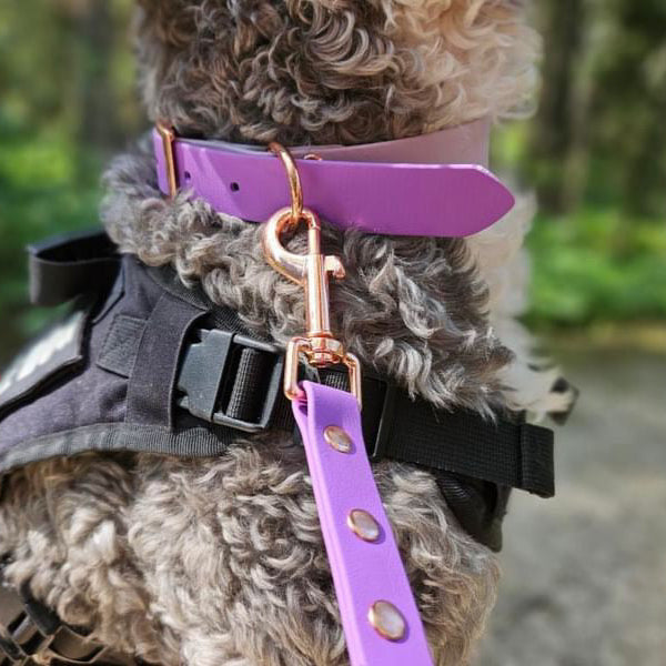 Quick Release Collar