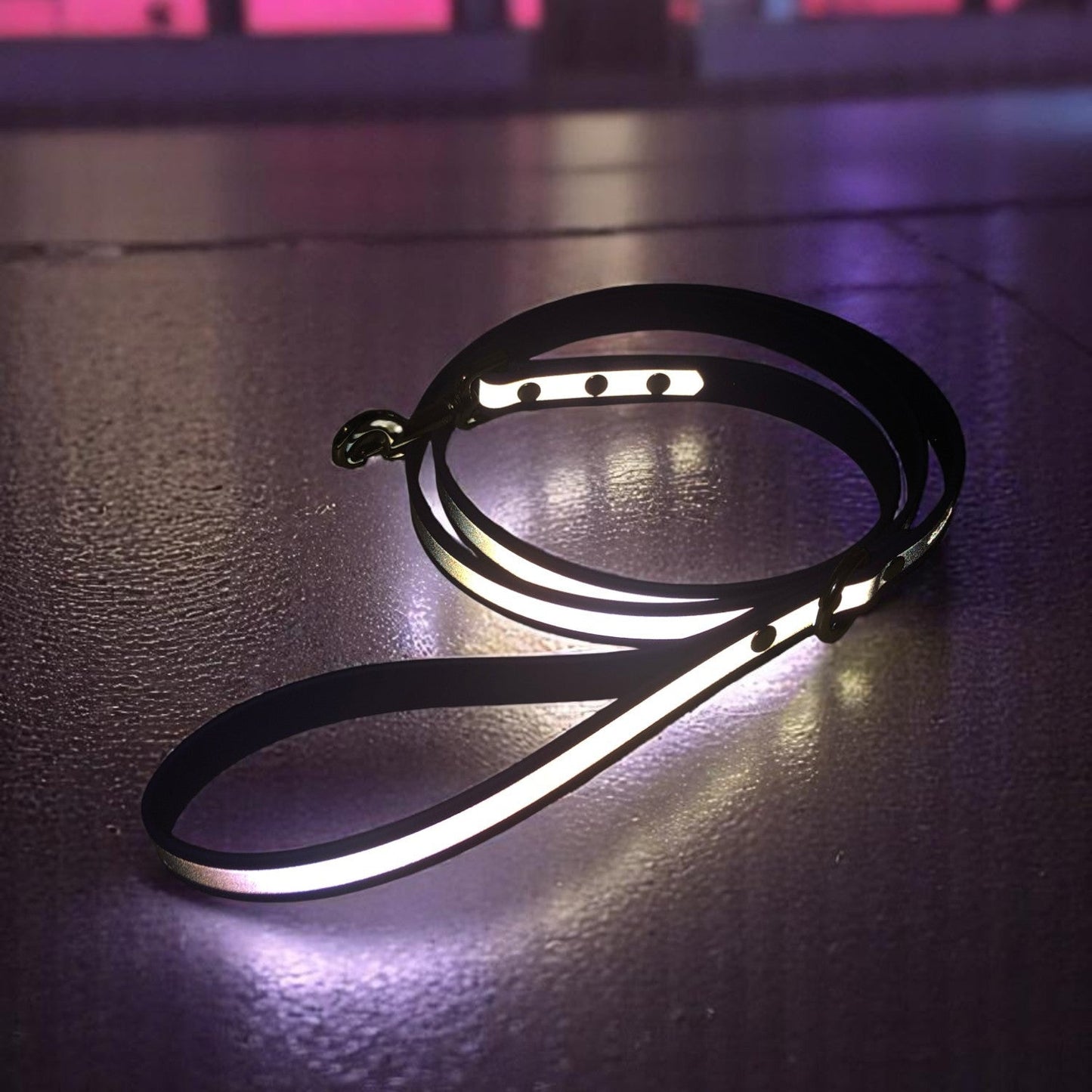 Leash/Long Line (Reflective)
