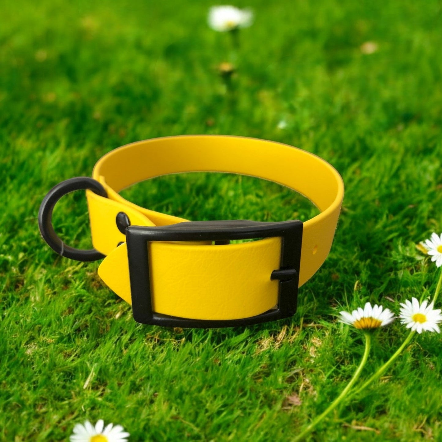 1.5" Classic Collar (Giant/Large Breeds)