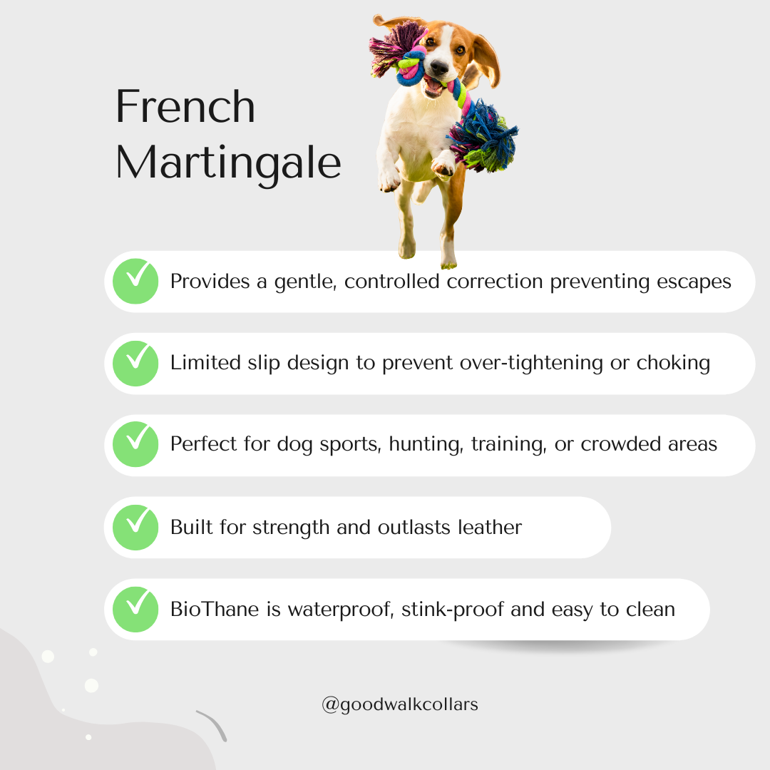 French Martingale Leash