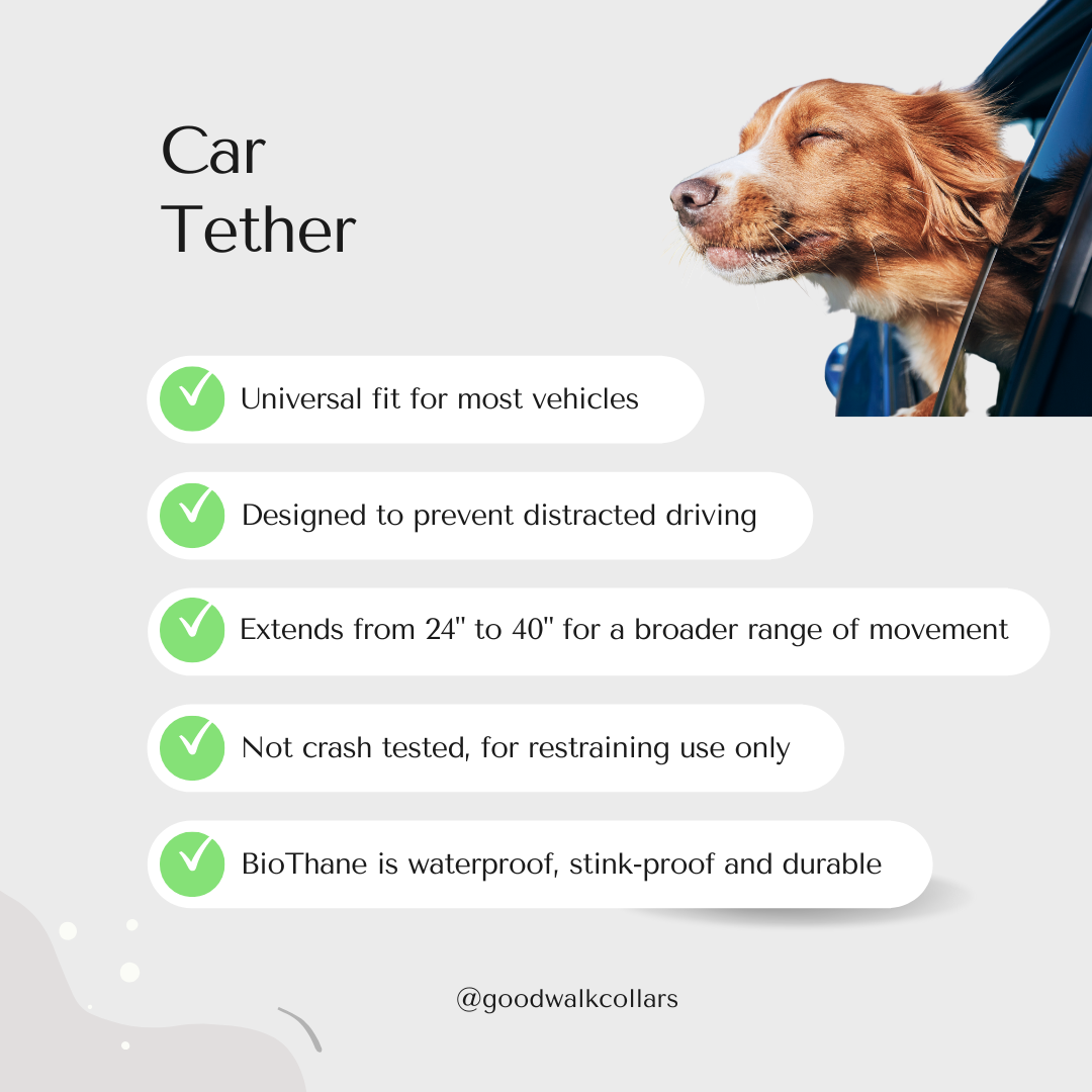 Car Tether