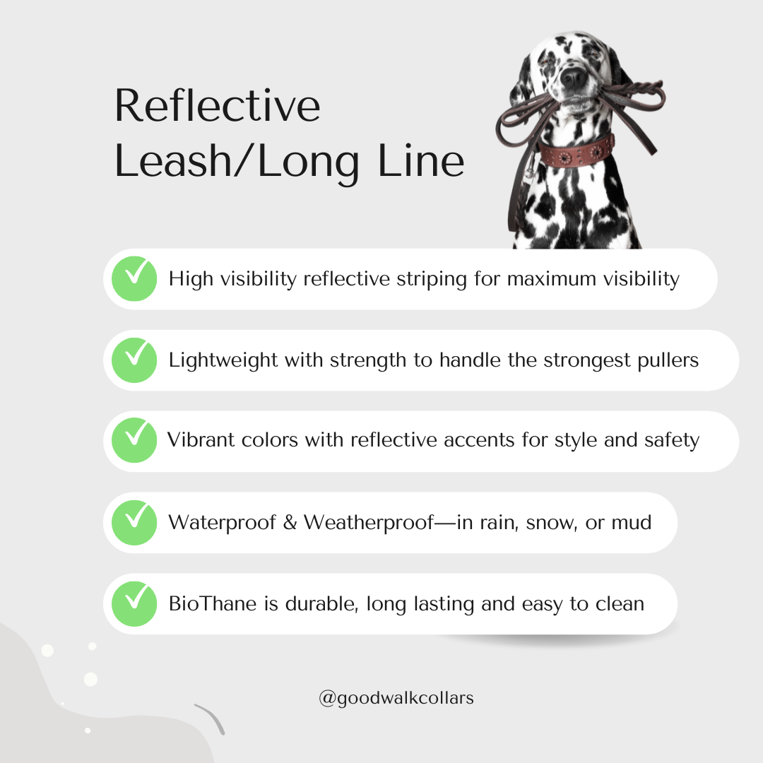 Leash/Long Line (Reflective)
