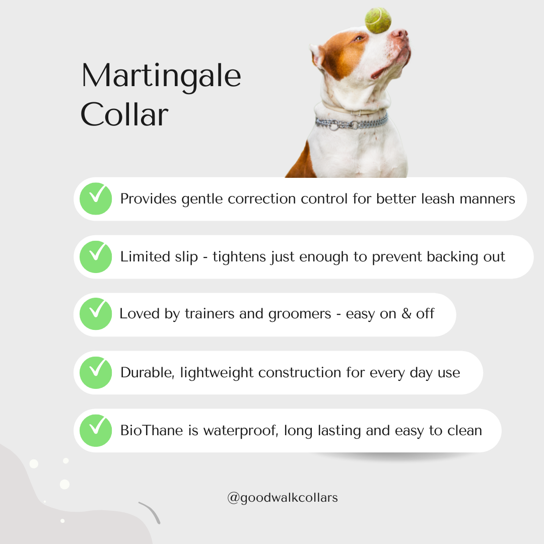 Martingale Collar