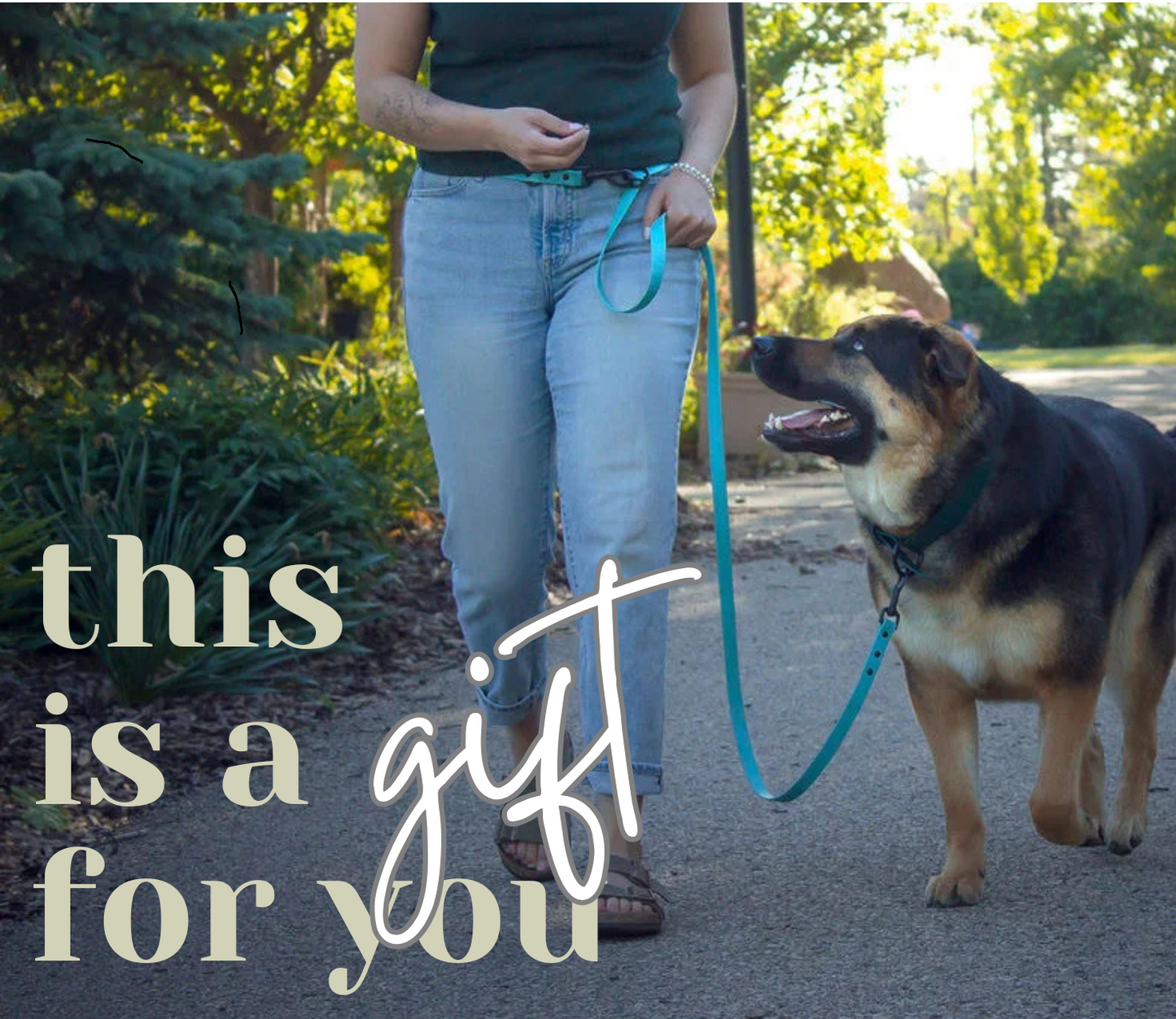 GoodWalk Collars & Leashes Gift Card