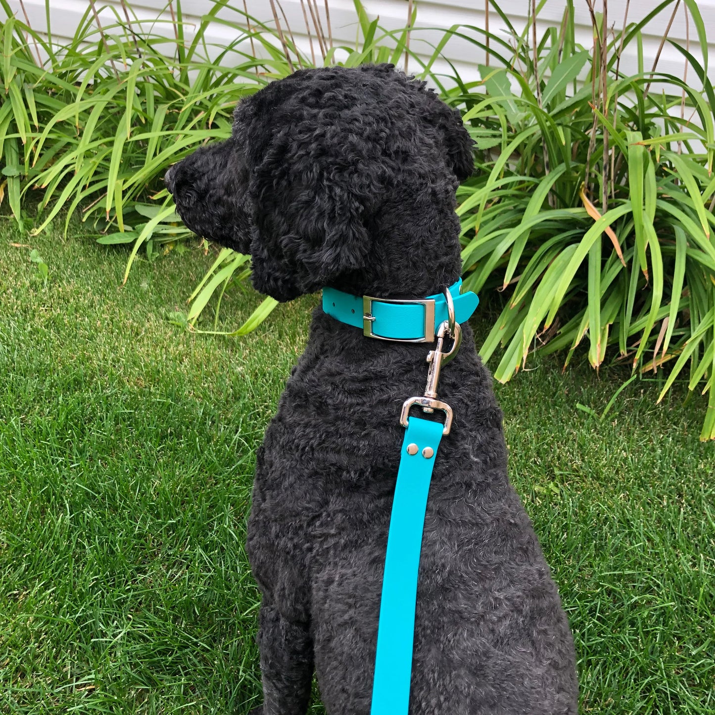 Two-Tone Standard Leash