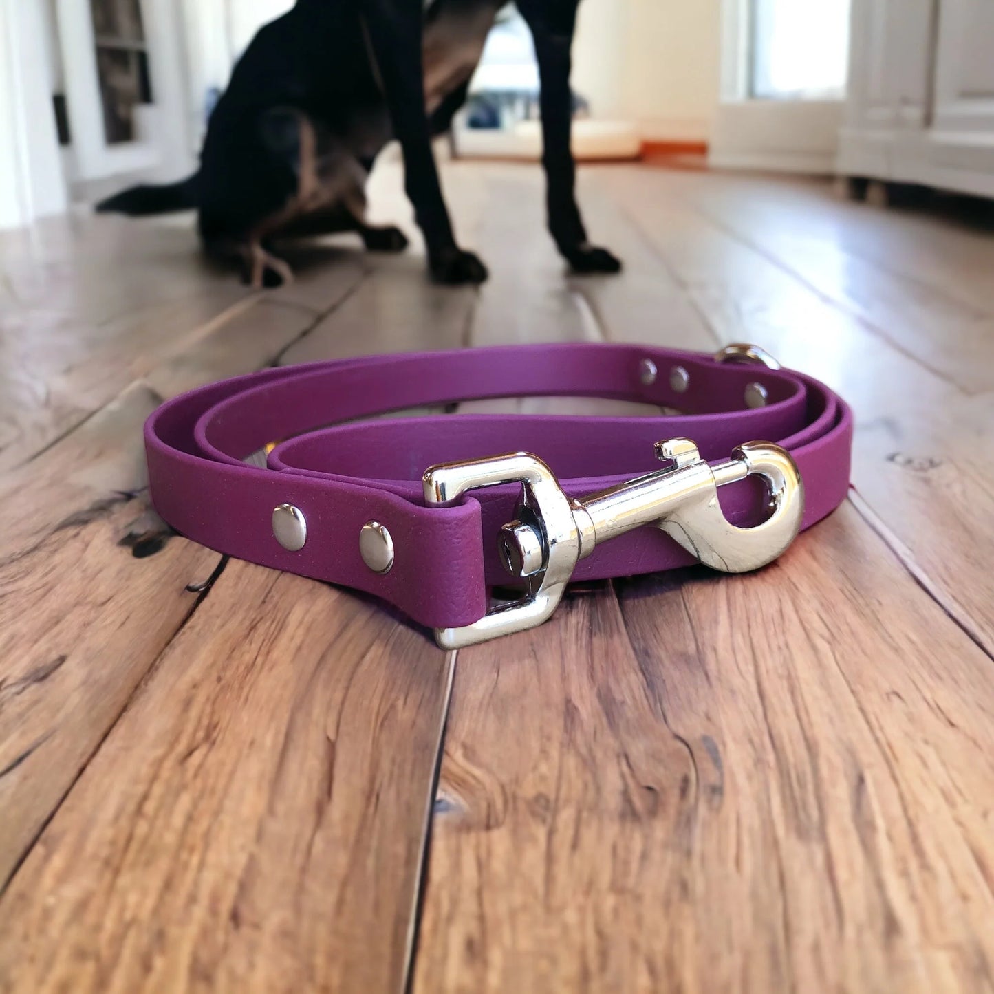 Standard Leash