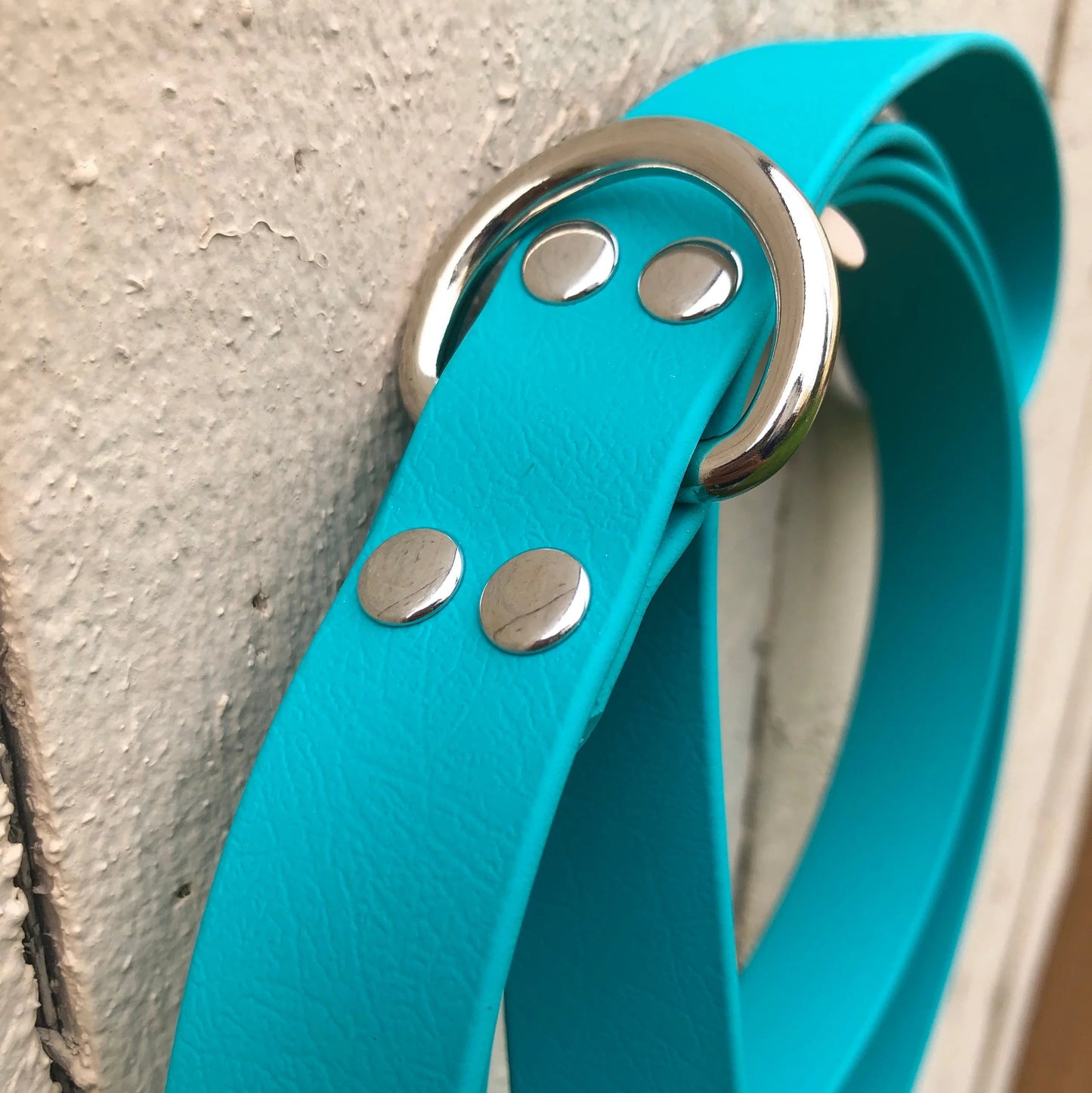 Two-Tone Standard Leash