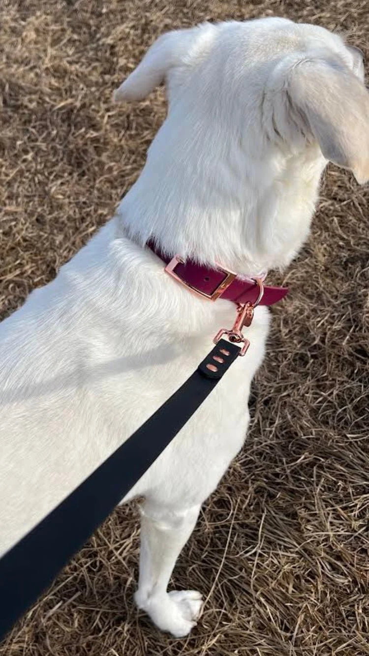 Standard Leash