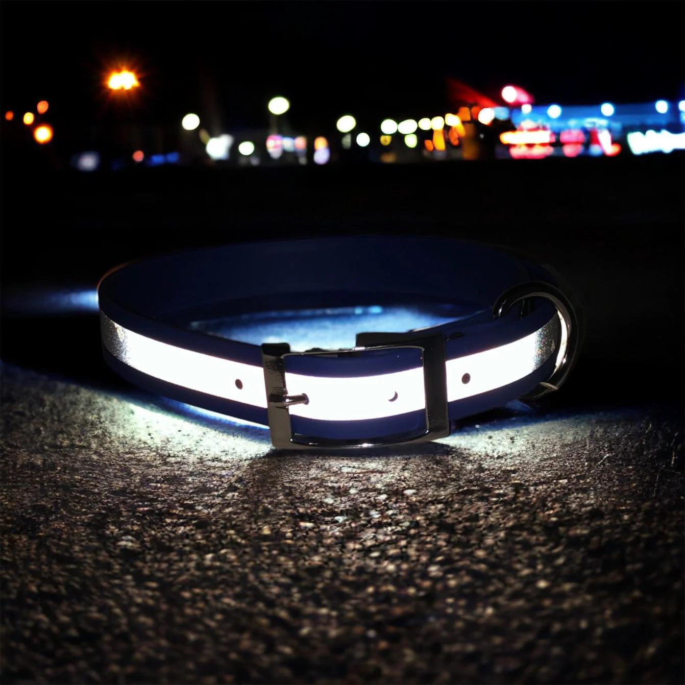 Reflective Classic Collar