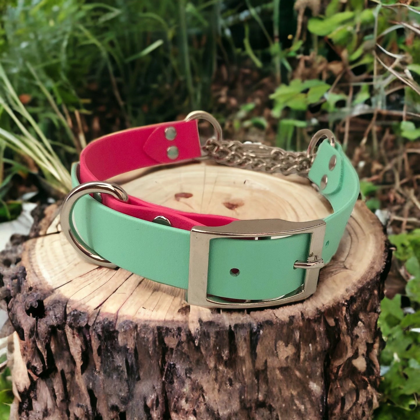 Martingale Collar