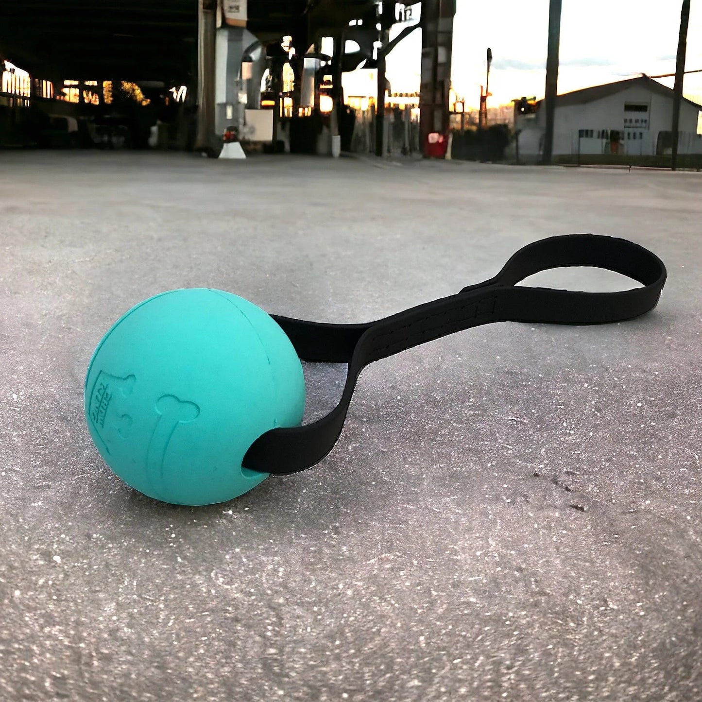 Fetch Ball/Tug Toy