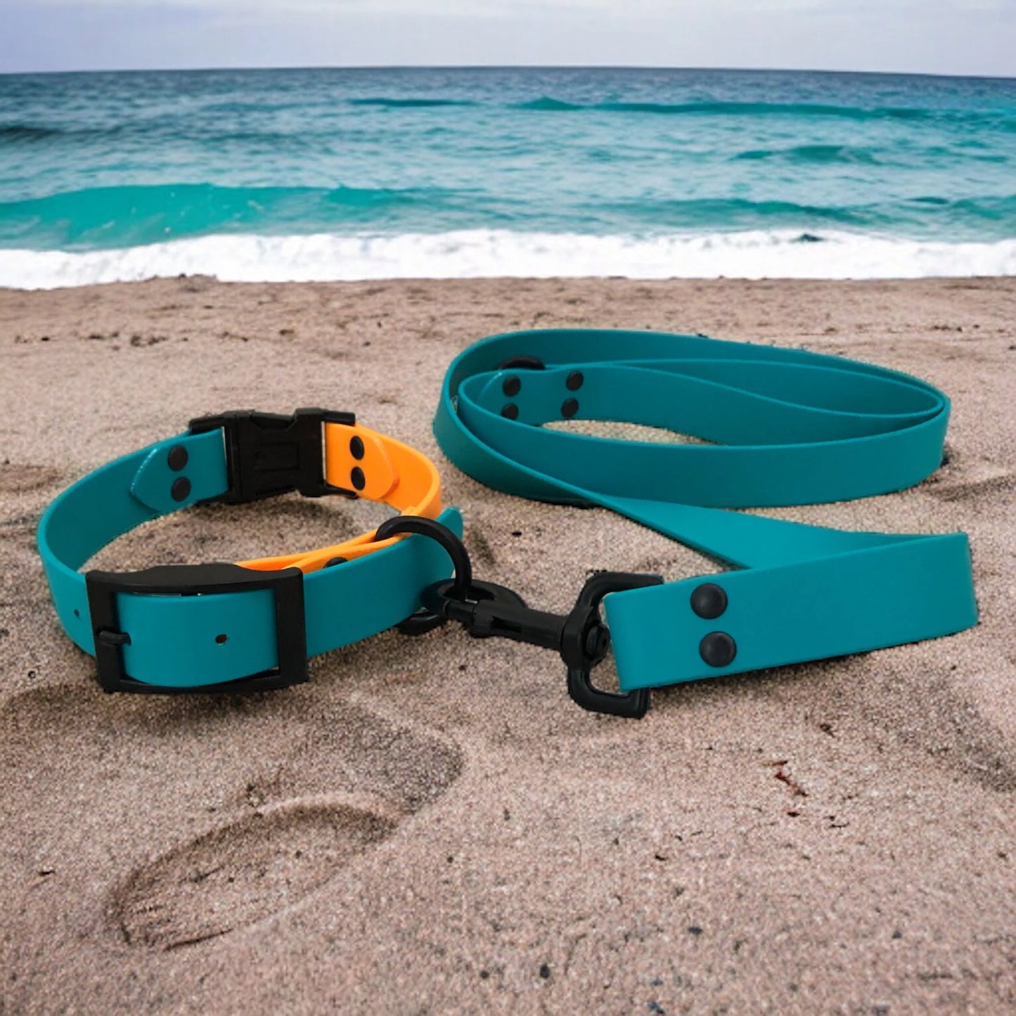 Quick Release Collar + Leash Set
