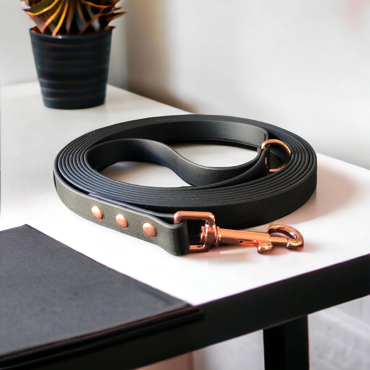 a long line leash rolled up on a withe desk