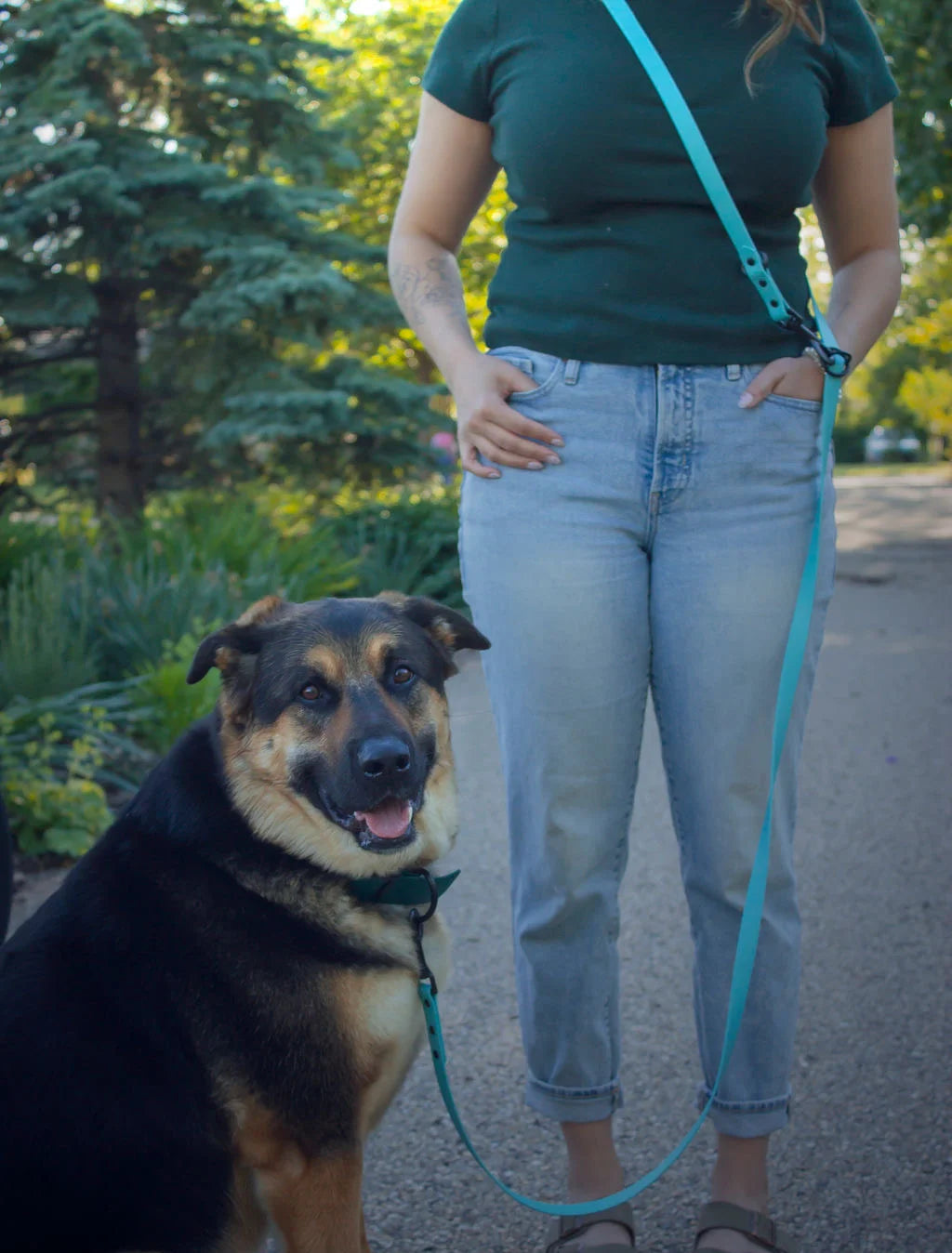 Hands Free/Multi-Way Leash