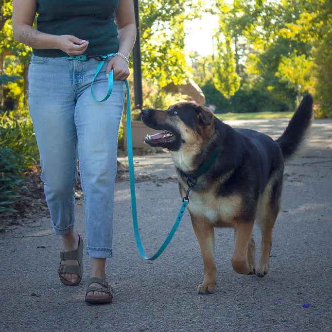 Hands Free/Multi-Way Leash