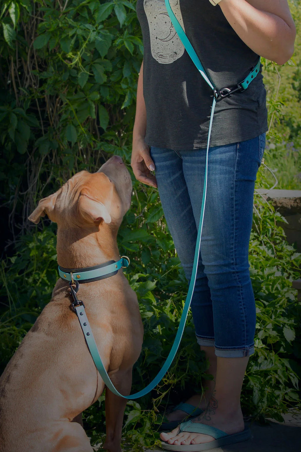 Hands Free/Multi-Way Leash