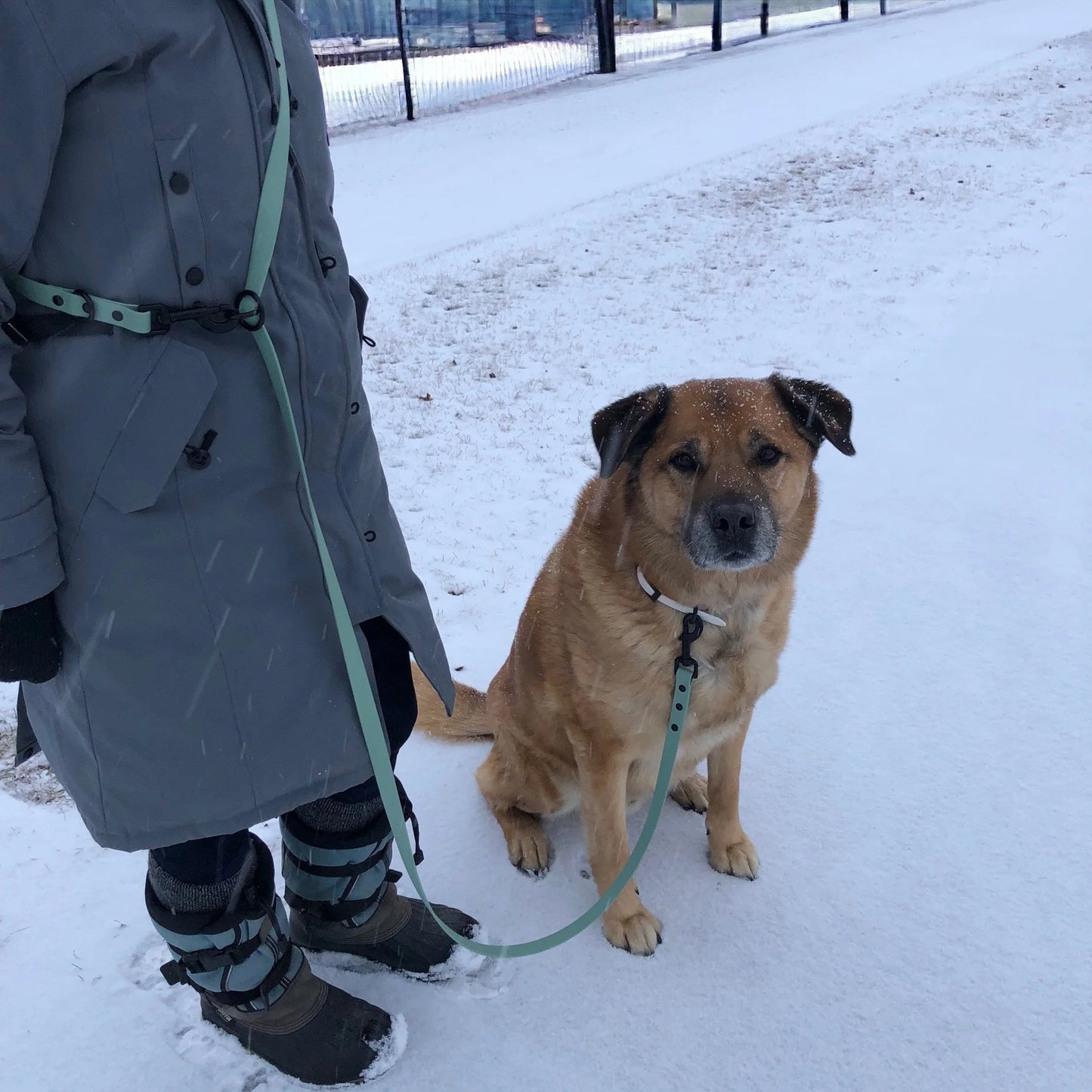 Hands Free/Multi-Way Leash