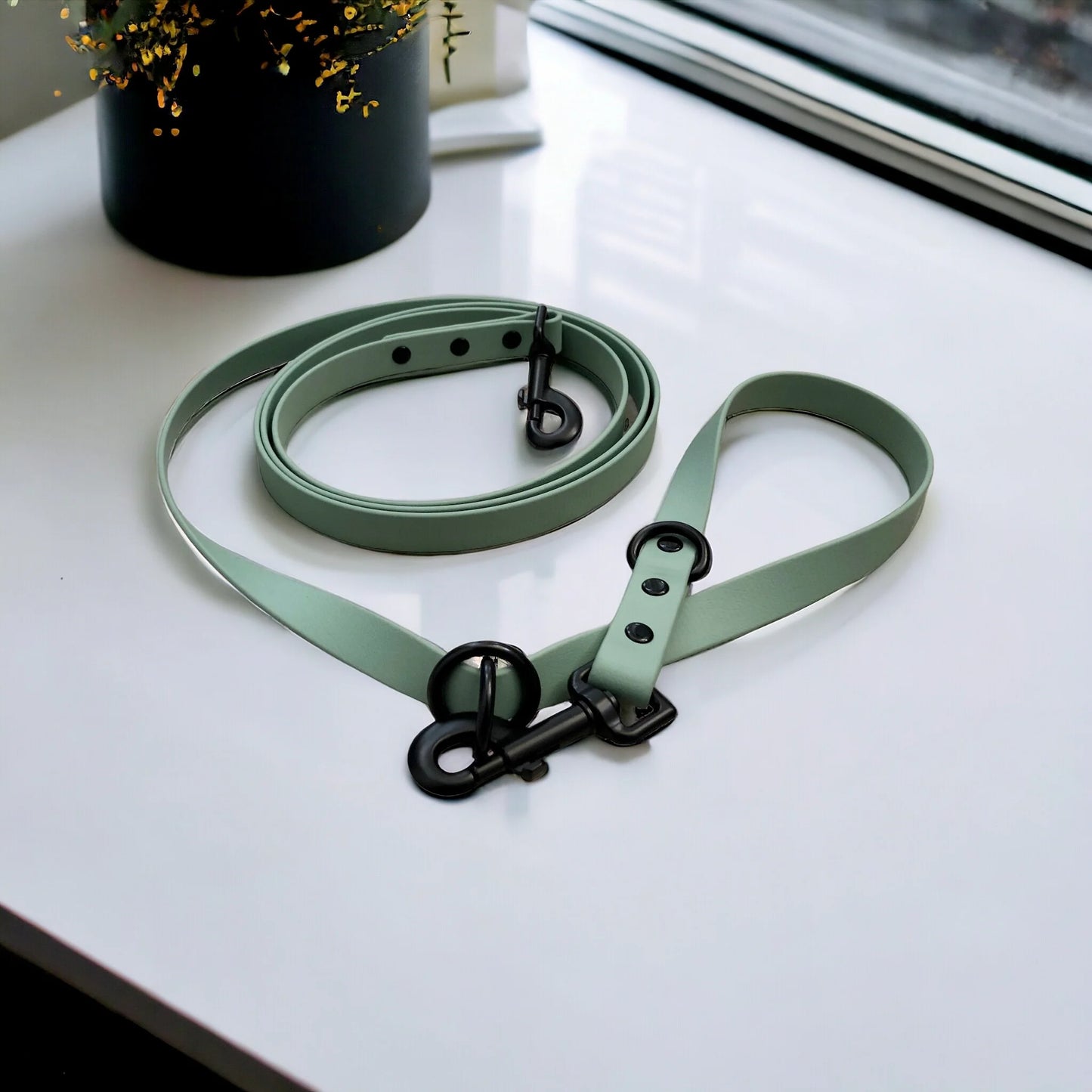 Hands Free/Multi-Way Leash