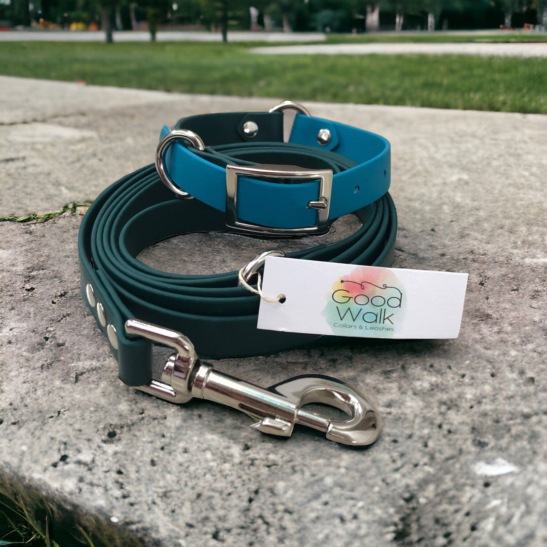 Classic Collar + Leash Set