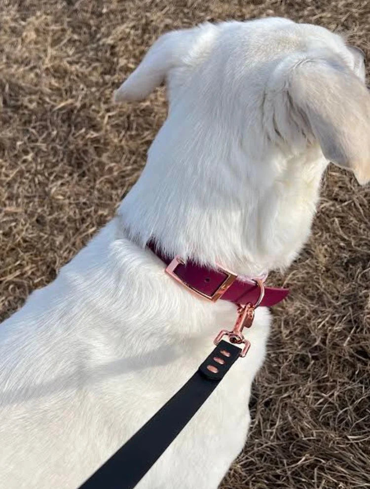 Classic Collar + Leash Set
