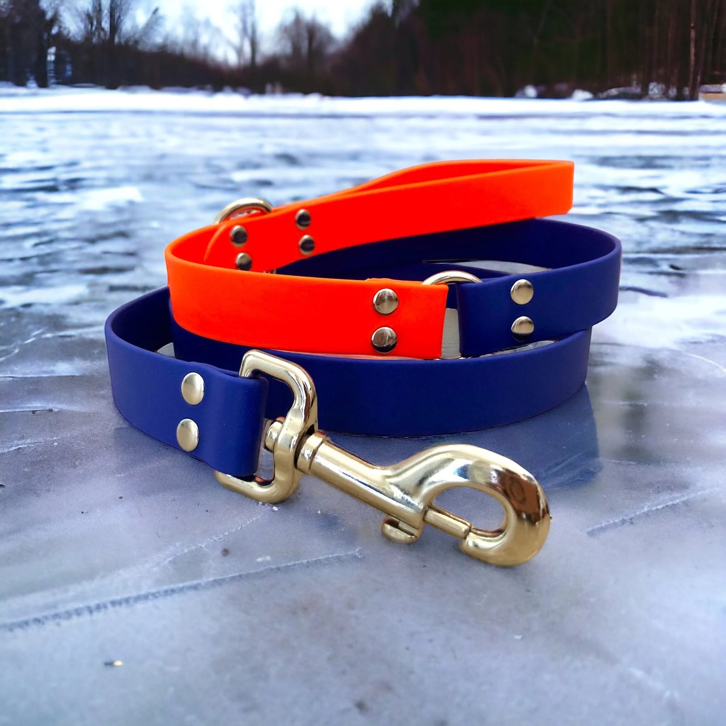 Oilers Colors Leash