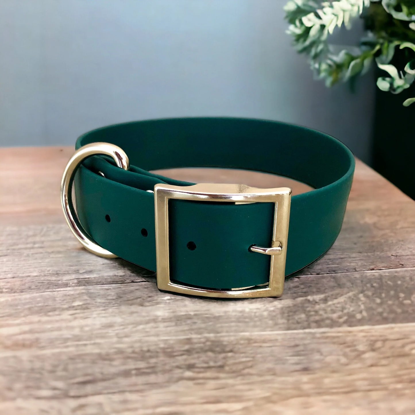 1.5" Classic Collar (Giant/Large Breeds)