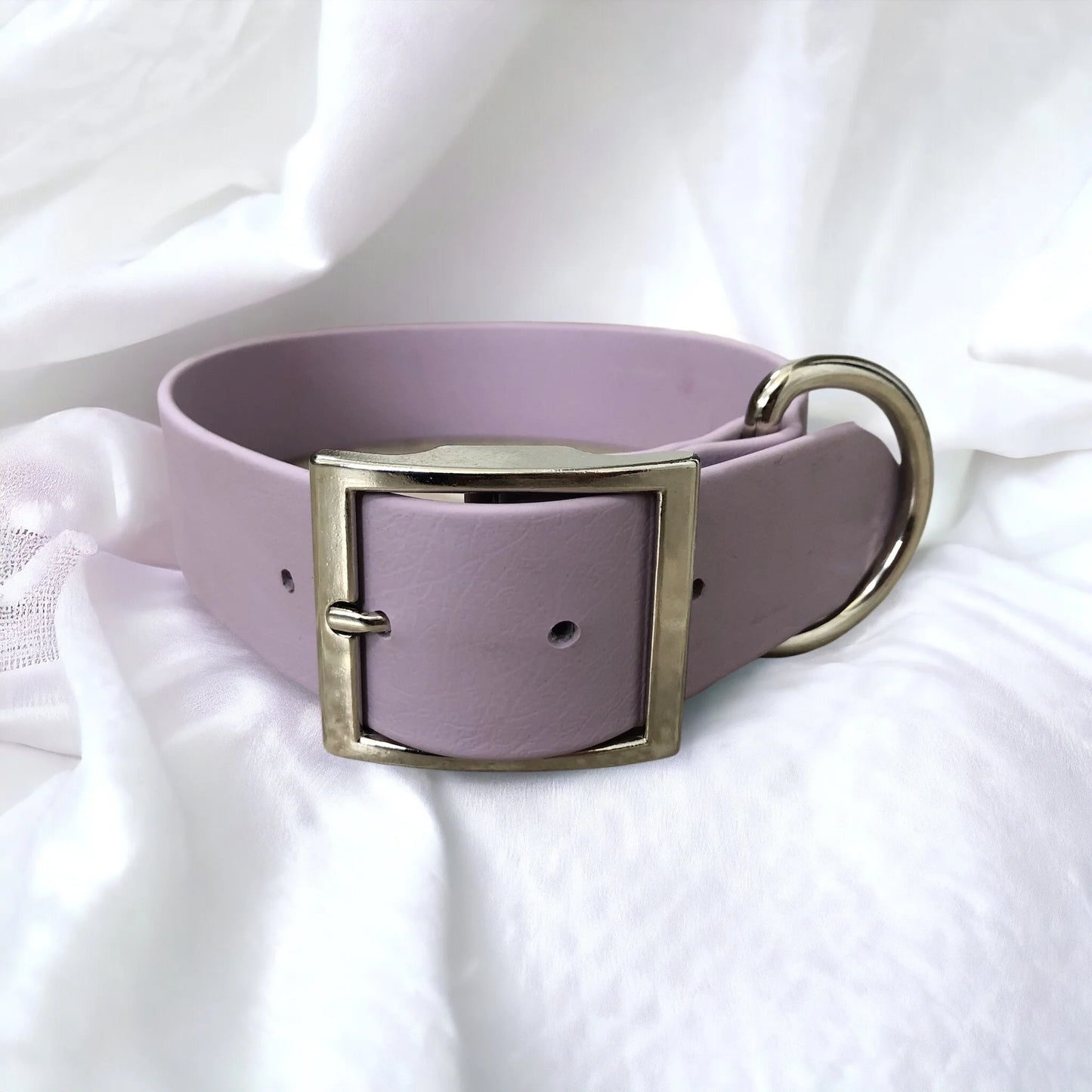 1.5" Classic Collar (Giant/Large Breeds)