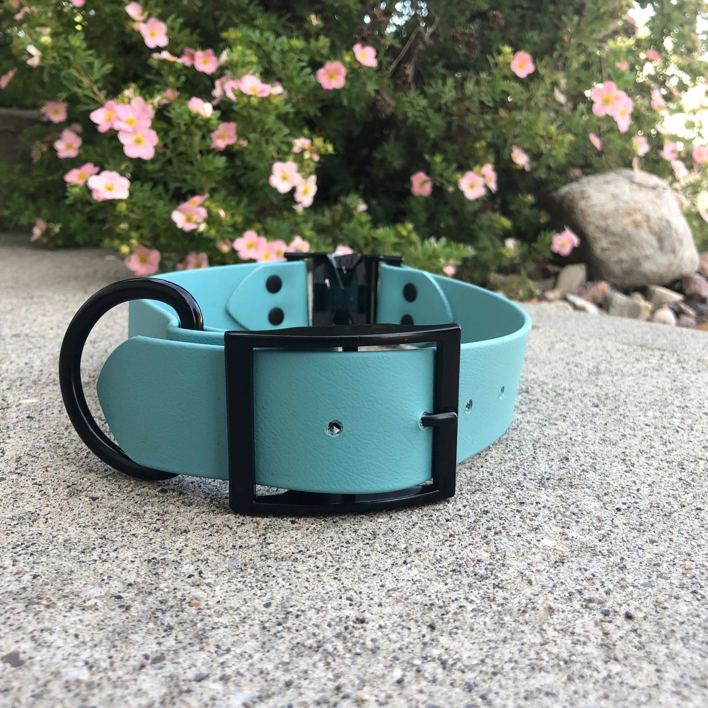 1.5" Quick Release Collar (Giant/Large Breeds)
