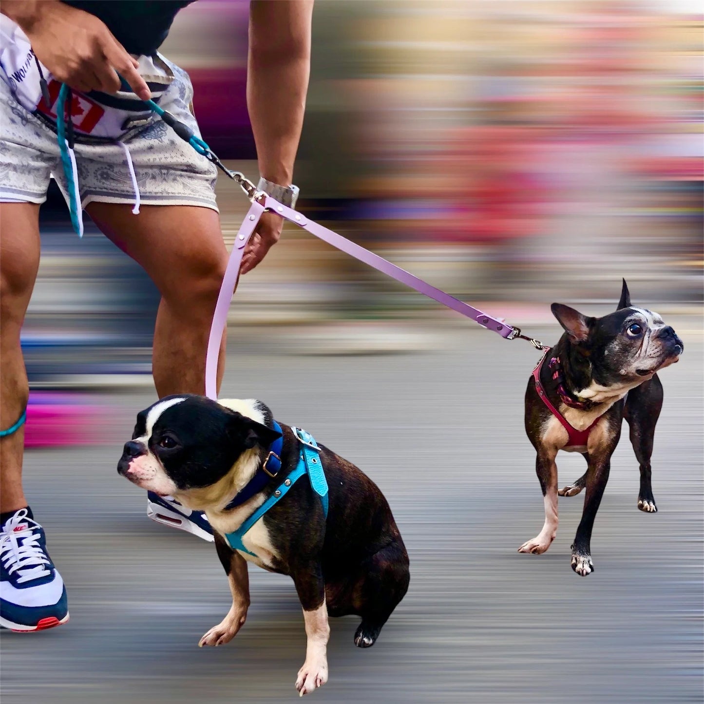 No-Tangle Double Leash Coupler