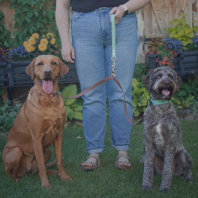 No-Tangle Double Leash Coupler