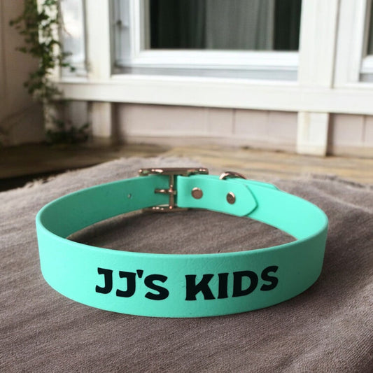 Classic Collar w/Name Plate