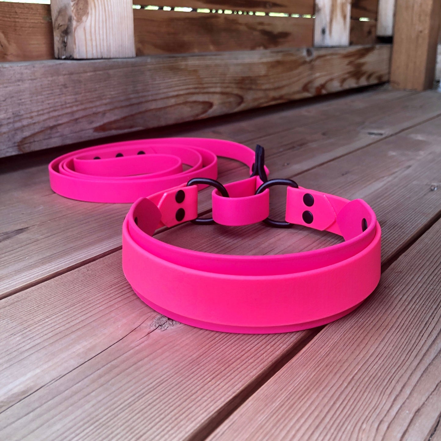 French Martingale Leash