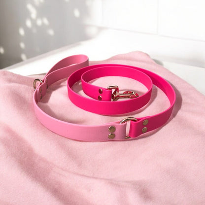 Two-Tone Standard Leash