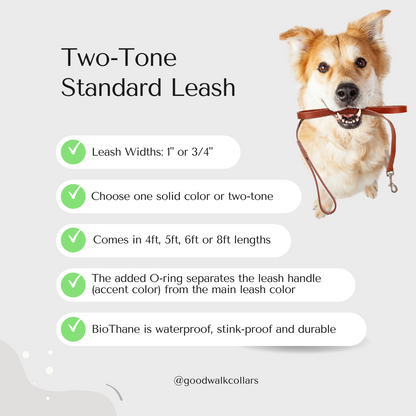 Two-Tone Standard Leash