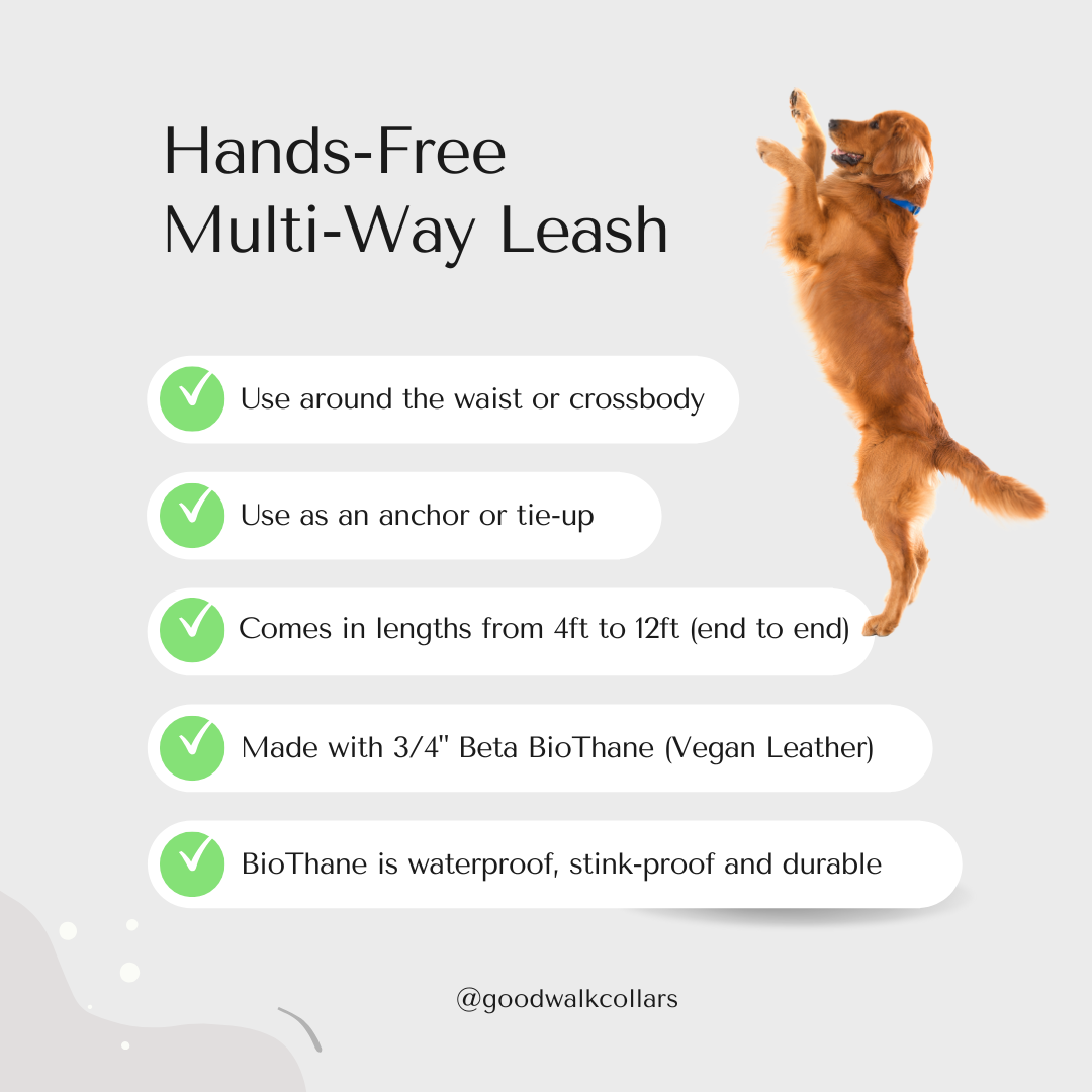 Hands Free/Multi-Way Leash