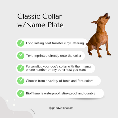 Classic Collar w/Name Plate