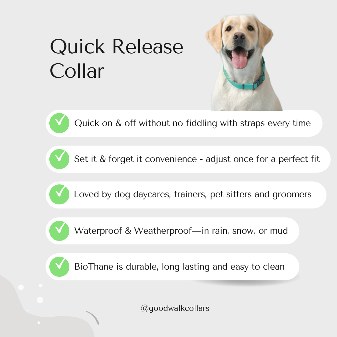 Quick Release Collar