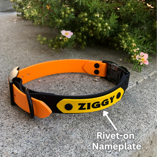 Quick Release Collar